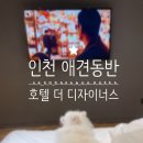 개편한편의점 | 인천 애견동반 호캉스 호텔! [구월동 더 디자이너스] 강아지와 함께한 1박2일 후기