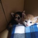 천사마트 이미지