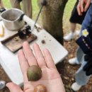 화산농장 | [샬레트래블 하와이 여행 후기]쏟아지는 별과 화산, 꿈만 같았던 빅아일랜드 &amp; 오아후 단체워크샵 8박 10일