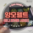 초보자도 할 수 있는 양모펠트로 포켓몬 시리즈 만들기! 집순이 취미생활 :: [DIY 양모펠트 후기]