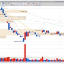 (주)두성 파라다이스카지노제주롯데 이미지