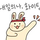 비에니(Vieni) 이미지