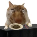 누구개 | 1월