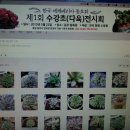 다육마을 이미지
