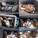 성복호 이미지