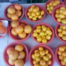 안녕하세요 *경북상회*입니다. 12월 8일(월)오늘과일입니다. 군고구마 시작했습니다. 이미지