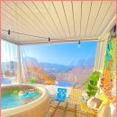 비행기나무 이미지