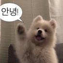 삼현전자 | 셀프에어컨청소 걱정 끝나는 에어컨세정제 &#34;정말싫다 에어컨곰팡이 세정제&#34;로 에어컨냄새제거 성공 후기