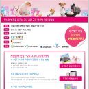 b.b.pet 이미지