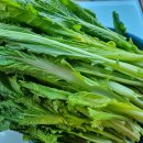 갓김치를 담으려구요 이미지