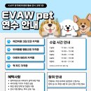 강아지 미용 이미지