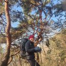 * 5월 정기산행(숲속의 자연보고 괴산 산막이옛길) 5월3일 일요일 이미지