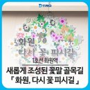 영상화원 이미지