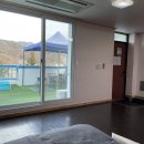 도그앤스테이 이미지