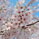 한남각모텔 이미지