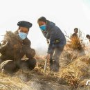 채령농장 이미지