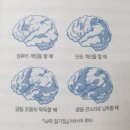 열린점자작은도서관 | 강서점자도서관 서혜정 성우님 초청 낭독 강연회 후기