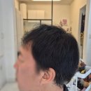 솔다움