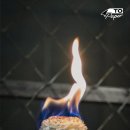 모아투