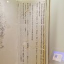 완산-78 이미지