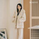 이제연 카카오 검색결과