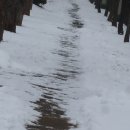 떡볶이정원 이미지