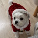 원조곡여자 경로당 | 울지 않게 나를 도와줘