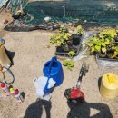 세가래로 이미지