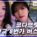라이브8번가