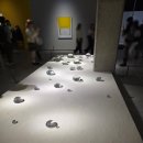 국립현대미술관(서울관) | [국립현대미술관 서울관] 김창열 회고전, 올해의작가상 2025 관람 후기