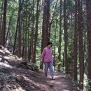 부산어린이대공원 이미지