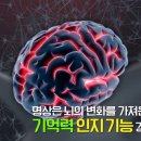 브레인건강센터