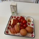 성대 폴립 수술 후기_KTP 레이저 수술 비용, 실비 가능 여부