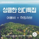 나니아의옷장 네이버블로그