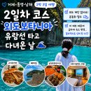 숲의 이야기를 들어볼래? | 🎂 남편과 떠난 거제·통영·남해 2박 3일 생일여행｜거제 2일차 코스 + 외도보타니아·해금강 후기