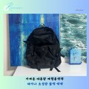 태가 | 가벼운 대용량 여행용백팩 태가나 초경량 블랙 백팩 후기
