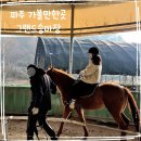 우리승마장 | 서울 근교 데이트 파주 아이와 가볼만한곳 그랜드승마장 승마 배우기 말타기 체험