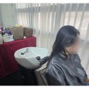 유헤어힐링 네이버블로그