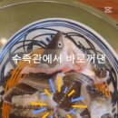 힘센장어.꼼장어