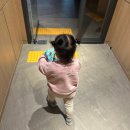 4/27-28 대통순두부/사랑이그린세상/차오름카페/쿠마야