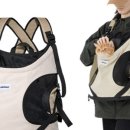 꼬꼬마 강아지 이미지