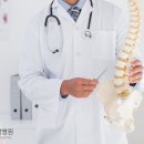 바른척추 이미지