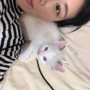작디작은 집 이미지