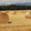 볏짚공예 이미지