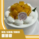 케이스바이케이스(부천1호점) | 미블랑 케이크 부천 신중동역 망고 케이크 맛집 내돈내산 후기
