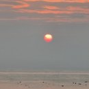 다사체육공원 | 📆 2025년 월별 이벤트 3개 짜깁기 회고 ✍🏻