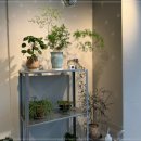 분당-342 이미지