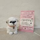 하남대로787번길 이미지