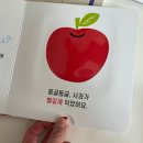 내돈내산/ 블루래빗 언어발달 첫 놀이감 전집 후기