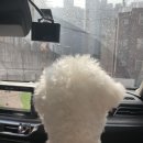 이쁘개멋있개 이미지